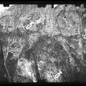 Staz. 23 - Bellunese - Monte Pelf - - LN00016981