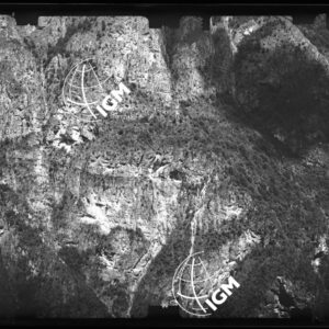 Staz. 23 - Bellunese - Monte Pelf - - LN00016982