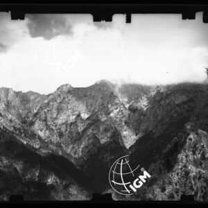 Staz. 23 - Bellunese - Monte Pelf - - LN00016986