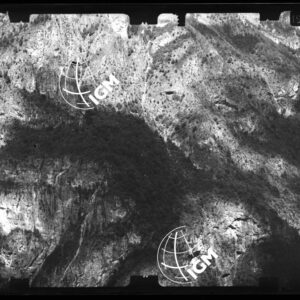 Staz. 23 - Bellunese - Monte Pelf - - LN00016988