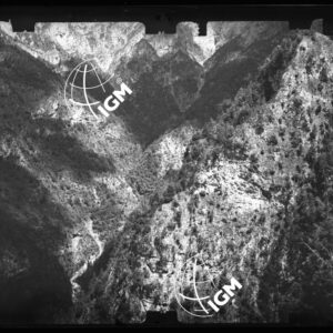 Staz. 23 - Bellunese - Monte Pelf - - LN00016989