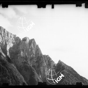 Staz. 24 - Bellunese - Monte Pelf - - LN00016998