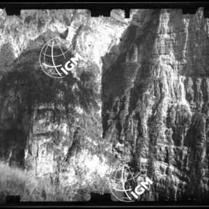 Staz. 24 - Bellunese - Monte Pelf - - LN00016999