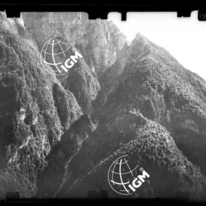 Staz. 24 - Bellunese - Monte Pelf - - LN00017001