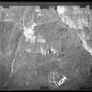 Staz. 25 - Bellunese - Monte Pelf - - LN00017003
