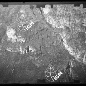 Staz. 25 - Bellunese - Monte Pelf - - LN00017006