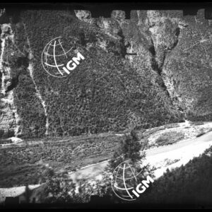 Staz. 26 - Bellunese - Monte Pelf - - LN00017010