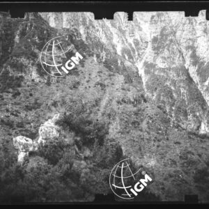 Staz. 27 - Bellunese - Monte Pelf - - LN00017016