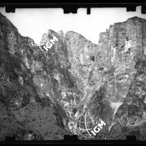 Staz. 29 - Bellunese - Monte Pelf - - LN00017030