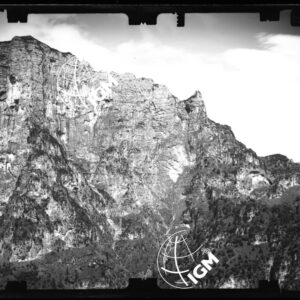 Staz. 29 - Bellunese - Monte Pelf - - LN00017031