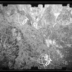 Staz. 29 - Bellunese - Monte Pelf - - LN00017032