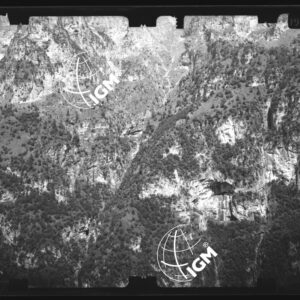 Staz. 29 - Bellunese - Monte Pelf - - LN00017033