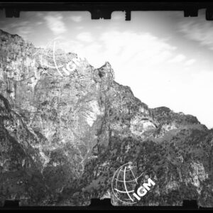 Staz. 29 - Bellunese - Monte Pelf - - LN00017035