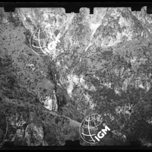 Staz. 29 - Bellunese - Monte Pelf - - LN00017036