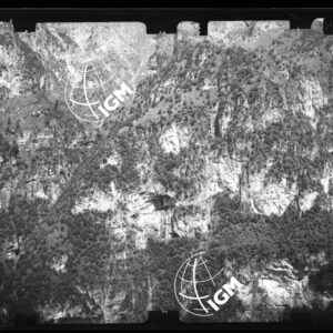 Staz. 29 - Bellunese - Monte Pelf - - LN00017037