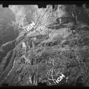 Staz. 30 - Bellunese - Monte Pelf - - LN00017038