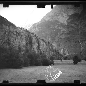 Staz. 31 - Bellunese - Monte Pelf - - LN00017046