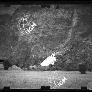 Staz. 31 - Bellunese - Monte Pelf - - LN00017047