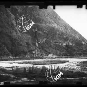 Staz. 32 - Bellunese - Monte Pelf - - LN00017051