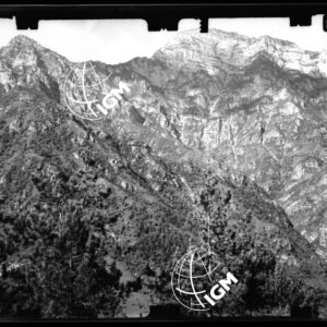 Staz. 3 - Bellunese - Tramonti - - LN00017076