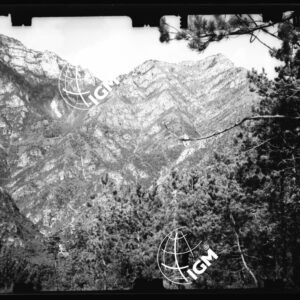 Staz. 3 - Bellunese - Tramonti - - LN00017077