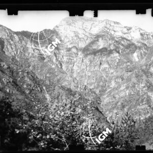 Staz. 3 - Bellunese - Tramonti - - LN00017078