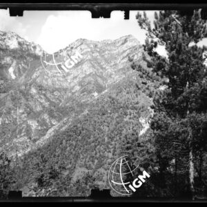 Staz. 3 - Bellunese - Tramonti - - LN00017079
