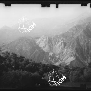 Staz. 7 - Bellunese - Tramonti - - LN00017098