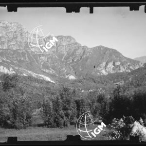 Staz. 11 - Bellunese - Tramonti - - LN00017103