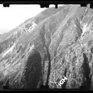 Staz. 13 - Bellunese - Tramonti - - LN00017107