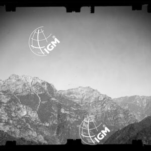 Staz. 18 - Bellunese - Tramonti - - LN00017113