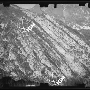 Staz. 12 - Bellunese - Tramonti - - LN00017116