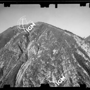 Staz. 12 - Bellunese - Tramonti - - LN00017117