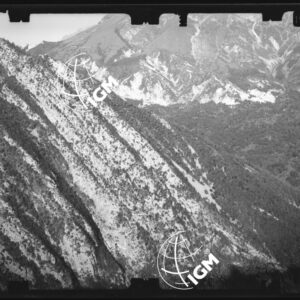 Staz. 12 - Bellunese - Tramonti - - LN00017119