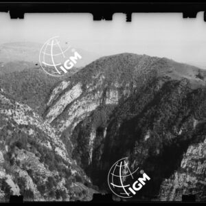 Staz. 14 - Bellunese - Tramonti - - LN00017124