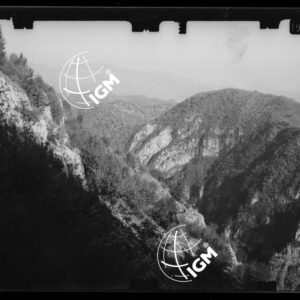 Staz. 14 - Bellunese - Tramonti - - LN00017125
