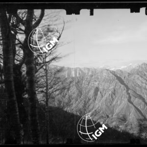 Staz. 26 - Bellunese - Tramonti - - LN00017156