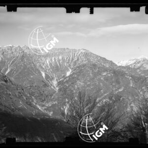 Staz. 26 - Bellunese - Tramonti - - LN00017158