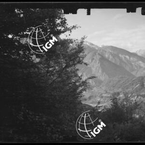 Staz. 26 - Bellunese - Tramonti - - LN00017166
