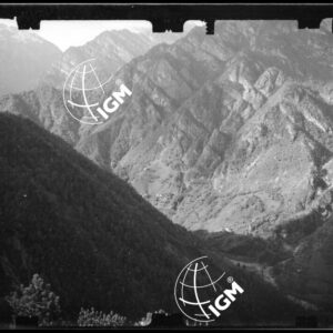 Staz. 24 - Bellunese - Tramonti - - LN00017178