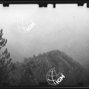Staz. 24 - Bellunese - Tramonti - - LN00017181