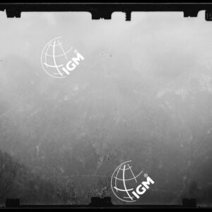 Staz. 24 - Bellunese - Tramonti - - LN00017182