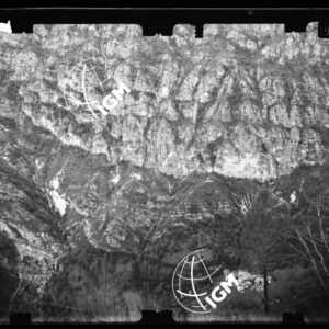 Staz. 27 - Bellunese - Tramonti - - LN00017190