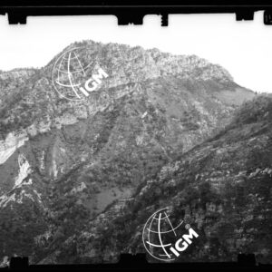 Staz. 27 - Bellunese - Tramonti - - LN00017193