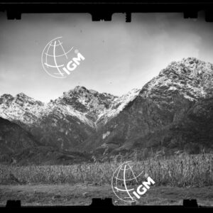 Staz. 28 - Bellunese - Tramonti - - LN00017197