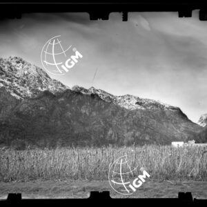 Staz. 28 - Bellunese - Tramonti - - LN00017198