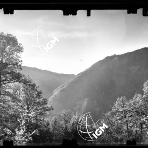 Staz. ? - Bellunese - Maniago - - LN00017199
