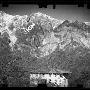 Staz. 30 - Bellunese - Maniago - - LN00017205