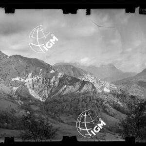 Staz. 4 - Bellunese - Pielongo - - LN00017223