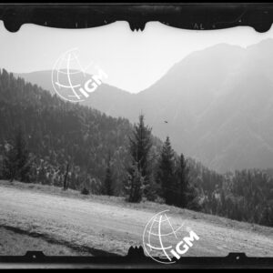 Staz. 1 - Bellunese - Cime di San Sebastiano - - LN00017227
